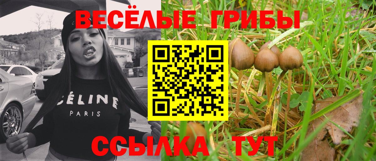 Псилоцибиновые грибы мицелий  Вход с VPN  Ленинск-Кузнецкий  Псилоцибиновые грибы Magic Shrooms 